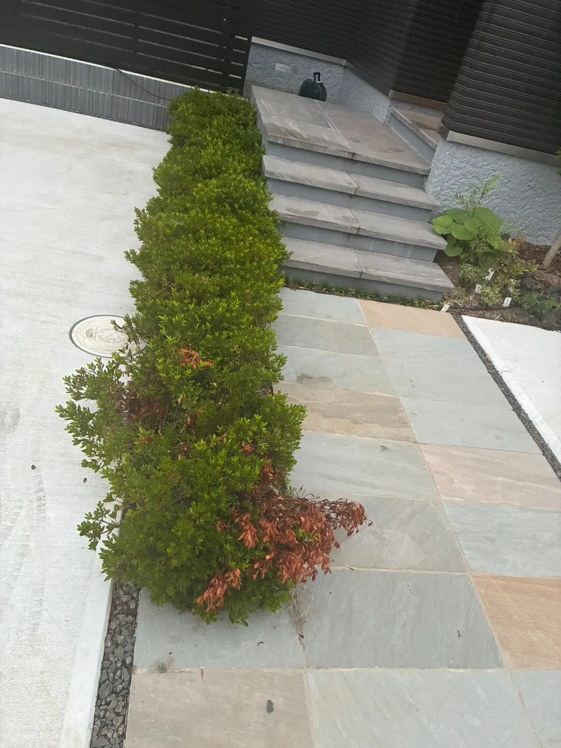 植栽と調和する石張りアプローチ